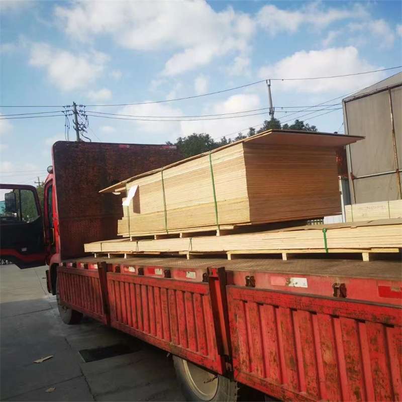 辽宁阜新清河门至塔城货运专线，一站式物流服务助您成功